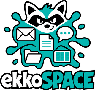 ekkoSPACE